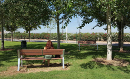 1 8 17 banco alameda cortometraje viatge uai