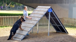 Agy 02 002 scaled uai