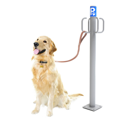 01 pipican agy 20 parking perros uai